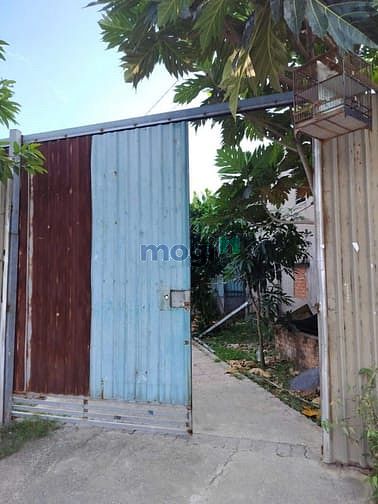 Hình ảnh Cho thuê nhà vườn tx 14 q12 Dt 7×30 có nhà c4 50m còn lại là vườn 5tr