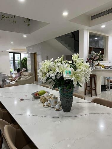 Hình ảnh Biệt thự 8x20, Hầm, Thang máy, Trệt, 3 lầu , 5 Pn, Full nội thất P.Ap