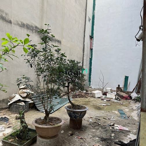 Hình ảnh Bán Gấp Đất **Ngọc Thuỵ**, 44m2, Ngõ Ô Tô, Giá 5,1 Tỷ