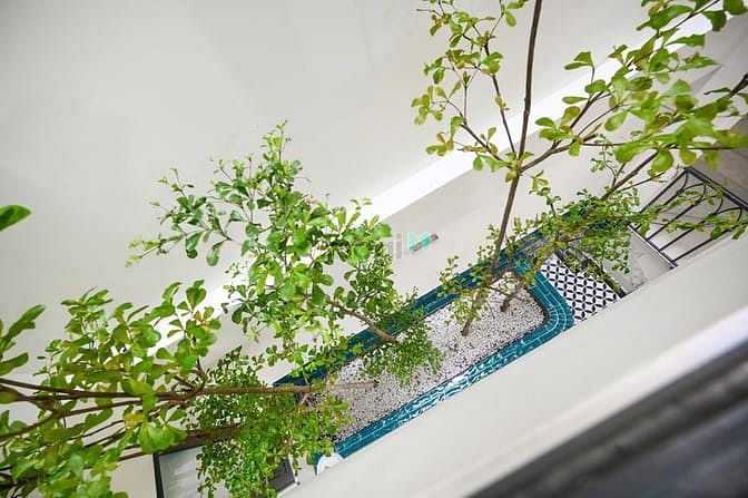 Hình ảnh Khai trương studio mới xây ngay trung tâm quận 7
