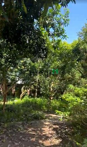 Hình ảnh Bán đất 2.281m đã có biệt tự nhà vườn giá siêu rẻ chỉ 7,6tr/m tại Cửa
