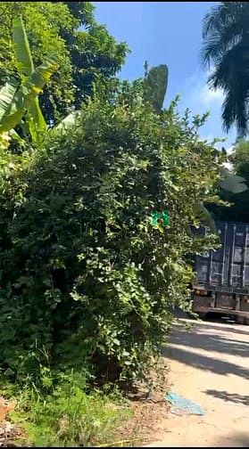 Hình ảnh Bán đất 2.281m đã có biệt tự nhà vườn giá siêu rẻ chỉ 7,6tr/m tại Cửa