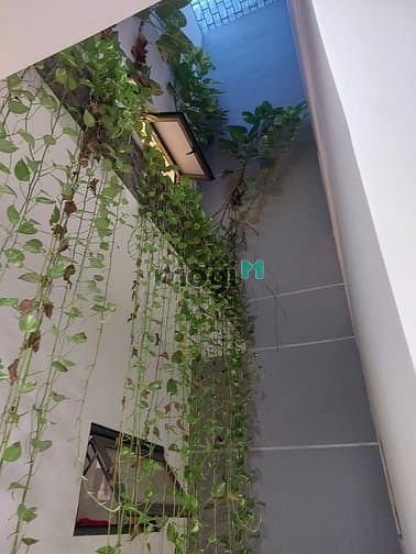 Hình ảnh Biệt thự 8x20, Hầm, Thang máy, Trệt, 3 lầu , 5 Pn, Full nội thất P.Ap
