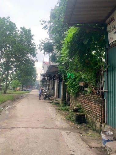 Hình ảnh Đất sổ đỏ 72m2 đường Cổ Châu, Liên Hà