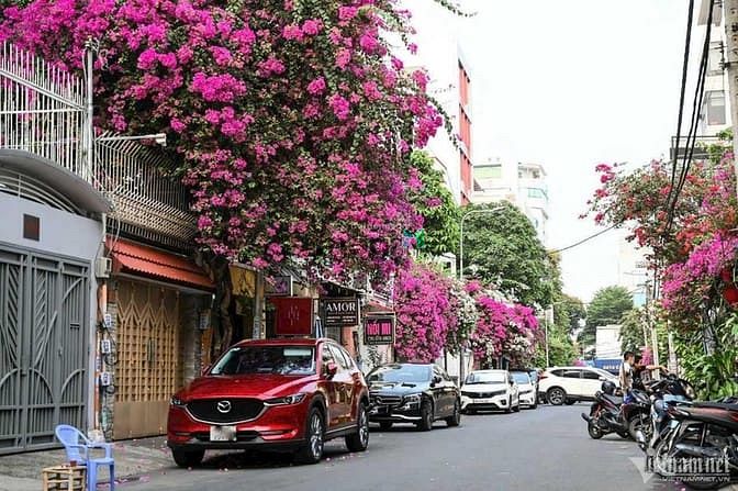 Hình ảnh Bán Đất 112m2 (8x14m) kế bên TTTM Emart Phan Văn Trị - Ngang Lớn 8m