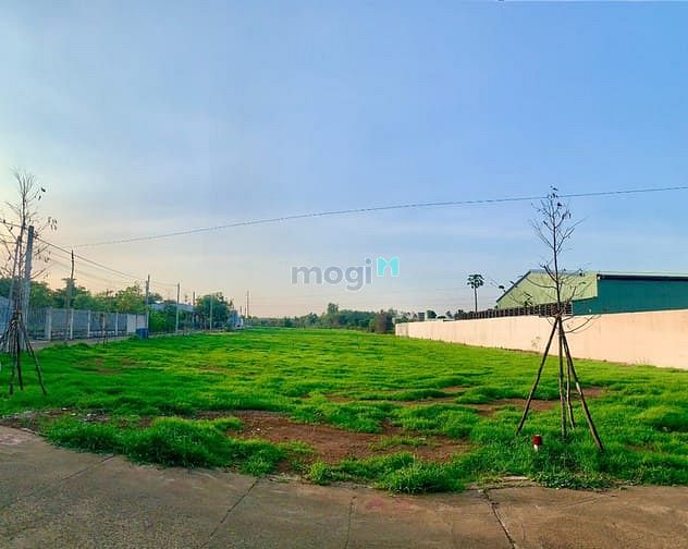 Hình ảnh Kẹt tiền nên bán gấp đất tại trung tâm Đất Đỏ BRVT cách QL55 chỉ 50m