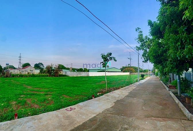 Hình ảnh Kẹt tiền nên bán gấp đất tại trung tâm Đất Đỏ BRVT cách QL55 chỉ 50m