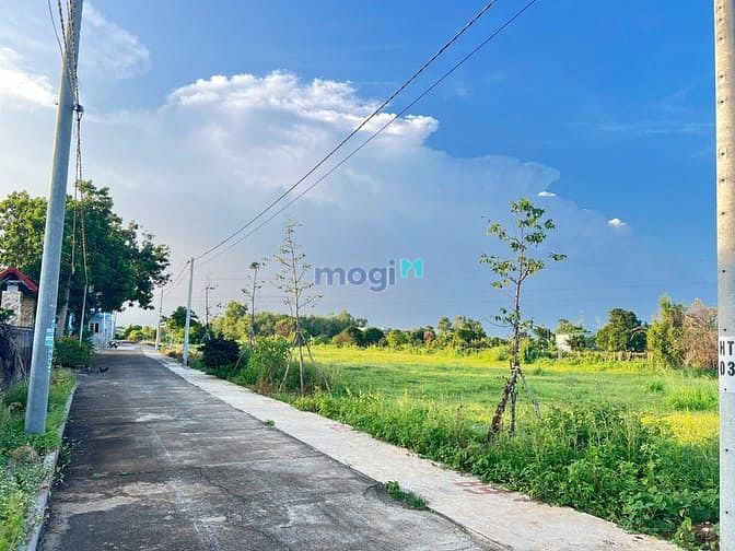 Hình ảnh Kẹt tiền nên bán gấp đất tại trung tâm Đất Đỏ BRVT cách QL55 chỉ 50m