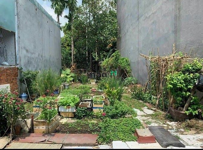 Hình ảnh Cần bán đất Bình Nhâm 07, Thuận An, Bình Dương giá rẻ