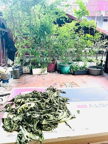 Hình ảnh Bán nhà phố phan đình phùng, trung tâm Ba Đình 7,3 tỷ