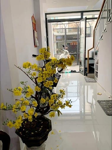 Hình ảnh HXH Trần Văn Quang, Tân Bình, 33m2 , 3×11m, Chỉ 5 Tỷ
