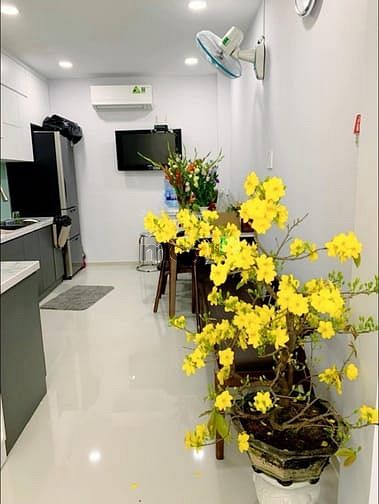 Hình ảnh HXH Trần Văn Quang, Tân Bình, 33m2 , 3×11m, Chỉ 5 Tỷ