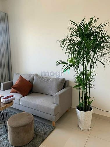Hình ảnh Cho thuê Trang Chủ MB66.COM / Đăng Ký Tặng 66K CC 1PN, View City, 1 WC, Full NT, An Phú, Quận 2