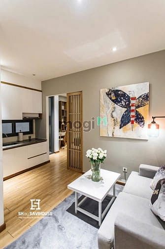 Hình ảnh CHDV cao cấp Sông Đáy Tân Bình