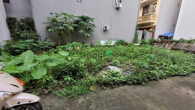 Hình ảnh Bán đất Ngọc Thụy,Long Biên, lô góc, 68m, 5.7 tỷ