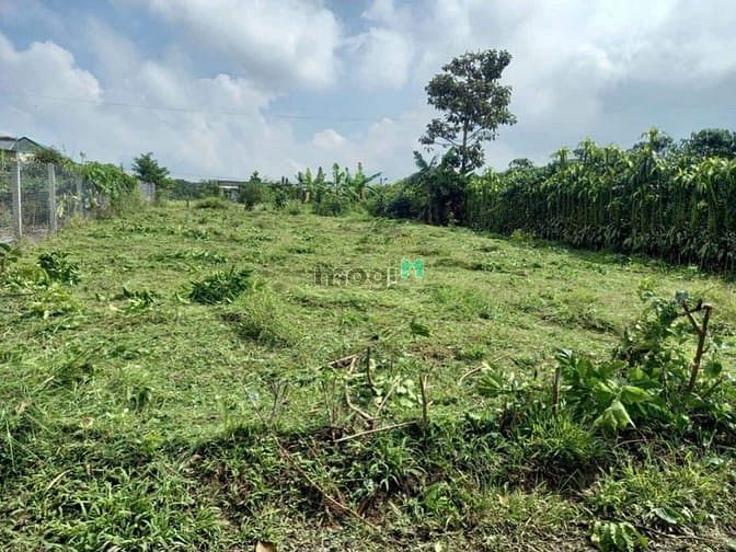 Hình ảnh Cần bán lô đất hẻm 221 Đoàn Thị Điểm - phường Lộc Phát - Bảo Lộc