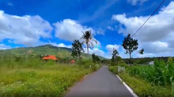 Hình ảnh bán lô đất biệt thự, có thổ cư, cách Trần Hưng Đạo 300m, Lộc Sơn