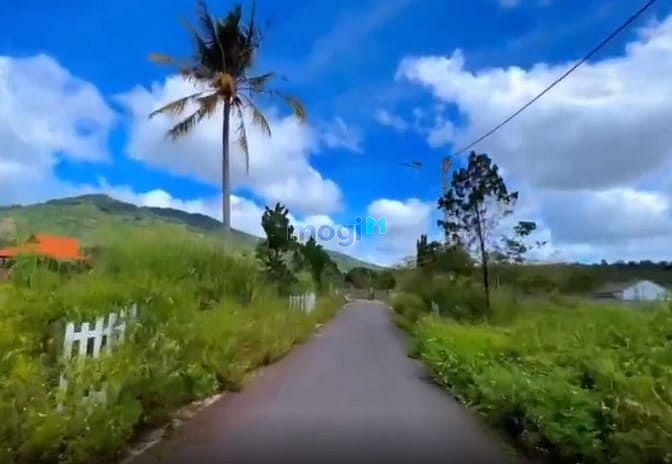 Hình ảnh bán lô đất biệt thự, có thổ cư, cách Trần Hưng Đạo 300m, Lộc Sơn