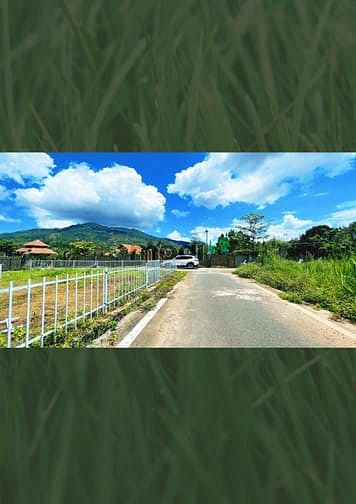Hình ảnh bán lô đất biệt thự, có thổ cư, cách Trần Hưng Đạo 300m, Lộc Sơn