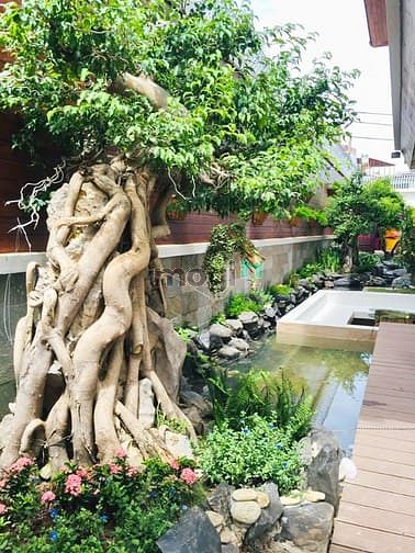 Hình ảnh Bán nhanh Biệt thự đẳng cấp MT KDC Kiều Đàm Q7