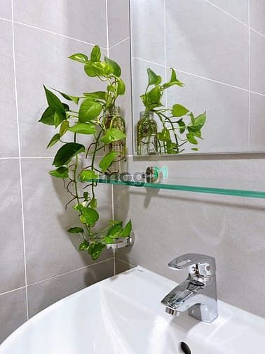 Hình ảnh Chỗ ở trọ đối diện Đại học Văn Lang - Đặng Thùy Trâm Bình Thạnh