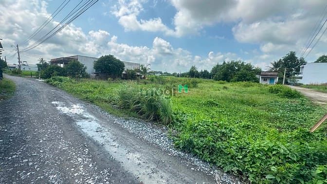 Hình ảnh Đất Dân Phân Lô Ra Bán 5x29 Full Thổ Ngay Trường Tiểu học Long Khê