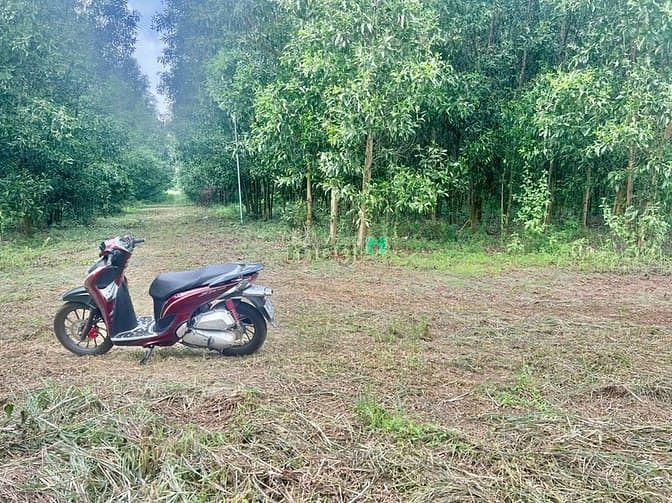 Hình ảnh bán 1164m2 đất tây hòa trảng bom 790tr