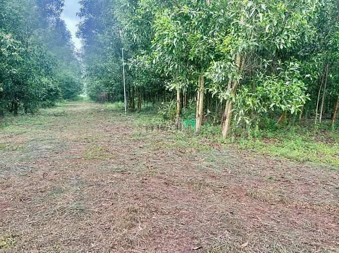 Hình ảnh bán 1164m2 đất tây hòa trảng bom 790tr