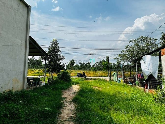 Hình ảnh Cần bán gấp 175m2 đất Lộc An Long Thành Đồng Nai. 1ty8