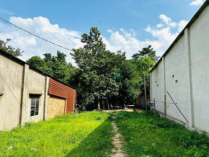 Hình ảnh Cần bán gấp 175m2 đất Lộc An Long Thành Đồng Nai. 1ty8