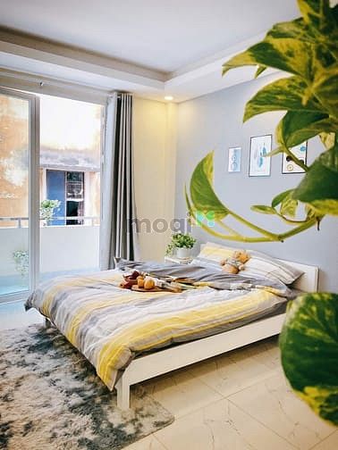 Hình ảnh Cho Thuê Phòng Trọ Dang Studio Quận 1