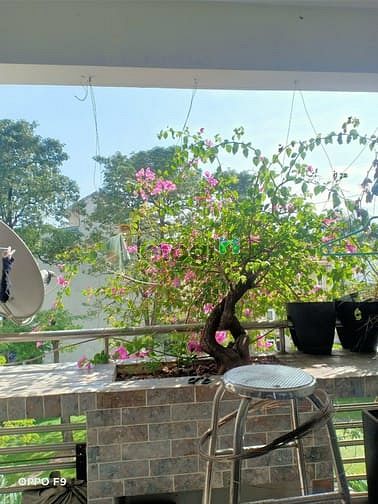 Hình ảnh Cho thuê Trang Chủ MB66.COM / Đăng Ký Tặng 66K Park View, đô thị Phú Mỹ Hưng 3PN 2WC view sông lầu ca