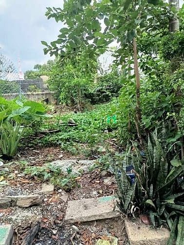 Hình ảnh Đất đẹp ngang khủng hơn 6m, đường xe hơi tới đất, trung tâm Hiệp Phú