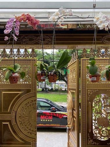 Hình ảnh Siêu phẩm Mặt tiền khu vip Tên Lửa 4,5 x 20m 5 tầng full nội thất