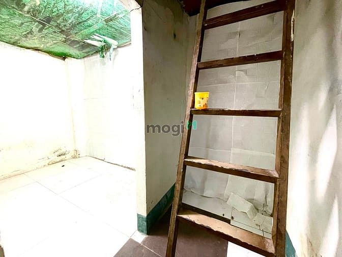 Hình ảnh Cho thuê Nhà nguyên căn 40 m2, Trần Quang Diệu Quận 3 TP.HCM