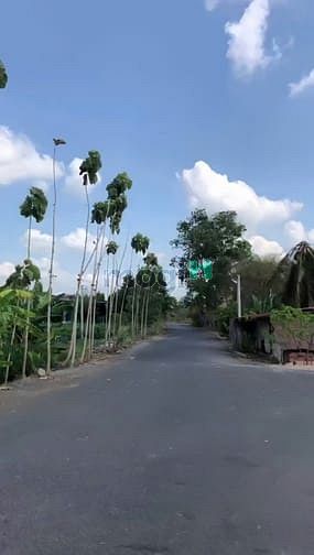 Hình ảnh bán đất nền thành phố tây ninh