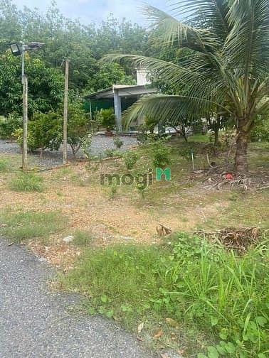 Hình ảnh bán đất nền thành phố tây ninh