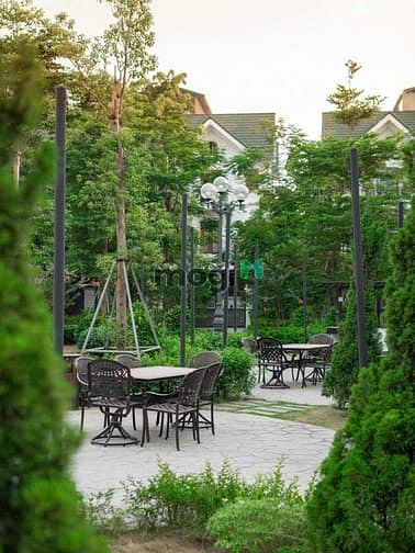 Hình ảnh Bán Biệt Thự Ciputra 318m2 giá 320tr/m2 sổ đỏ lâu dài