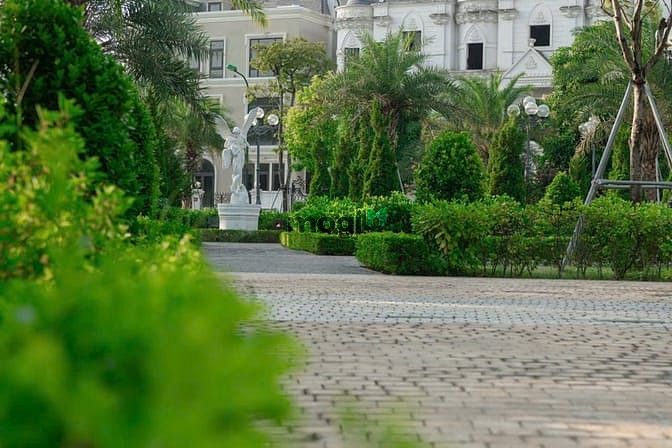 Hình ảnh Bán Biệt Thự Ciputra 318m2 giá 320tr/m2 sổ đỏ lâu dài