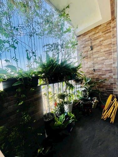 Hình ảnh Trang Chủ MB66.COM Chính Thức Ruby Garden, P15, Tân Bình: 120m2 ,3p ngủ, 2wc, NT, 12tr/th