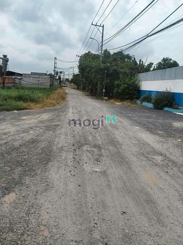 Hình ảnh 5. Bán 441m2 (21x21). Đất thổ cư. Tân Thạnh Đông. Giá: 4,5 tỷ