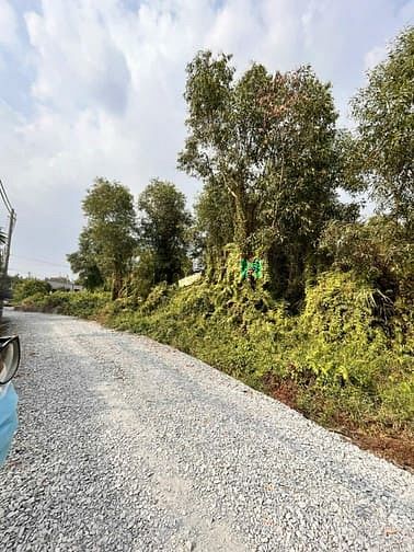 Hình ảnh Bán 1000m2 đất thổ cư. 1/Tỉnh lộ 8. Bình Mỹ. Giá: 7 tỷ