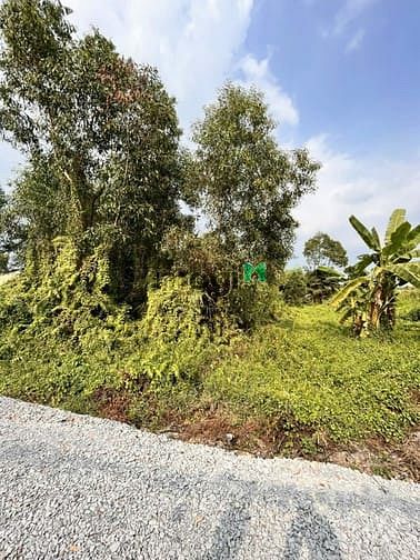 Hình ảnh Bán 1000m2 đất thổ cư. 1/Tỉnh lộ 8. Bình Mỹ. Giá: 7 tỷ