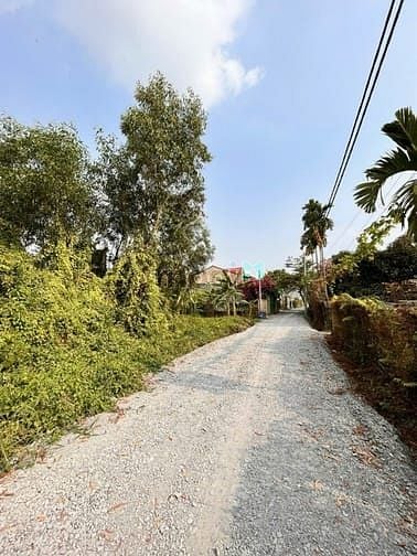 Hình ảnh Bán 1000m2 đất thổ cư. 1/Tỉnh lộ 8. Bình Mỹ. Giá: 7 tỷ