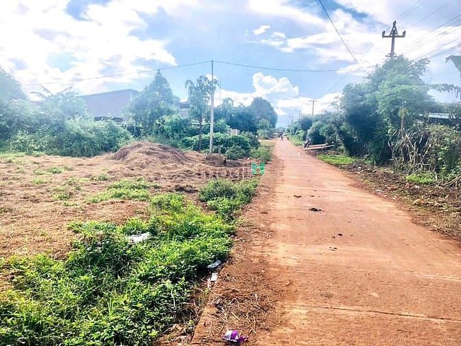 Hình ảnh Siêu phầm nhà vườn hơn 400m2 tại Gia Lai , SHR , chỉ 3xx