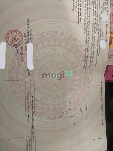 Hình ảnh Siêu phầm nhà vườn hơn 400m2 tại Gia Lai , SHR , chỉ 3xx