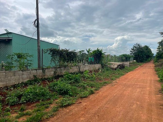 Hình ảnh Siêu phầm nhà vườn hơn 400m2 tại Gia Lai , SHR , chỉ 3xx