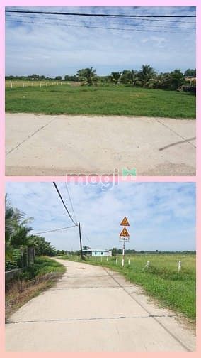 Hình ảnh Bán 3000m2. Full thổ cư. Ngang 50m. Dài 60m. Trung An. Giá: 15 tỷ