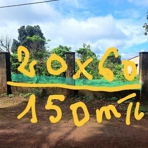 Hình ảnh 1200m2 . ngang 20m làm nhà vườn tại Pleiku , SHR