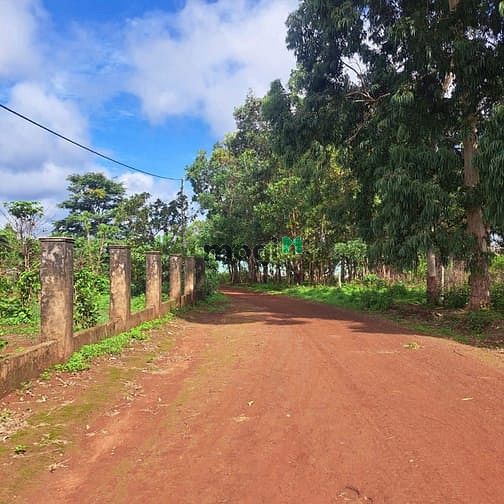 Hình ảnh 1200m2 . ngang 20m làm nhà vườn tại Pleiku , SHR